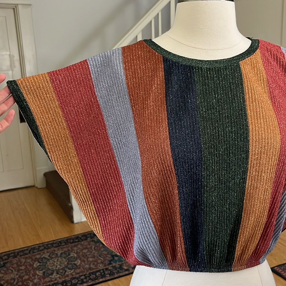 ZARA Crop Top in Rainbow Metallic Size Small